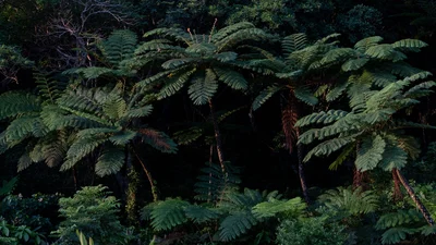 Trip Image