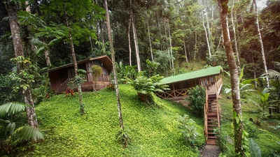 Trip Image