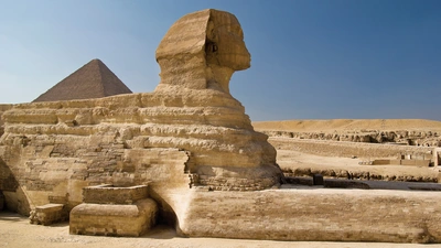 Trip Image