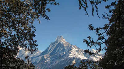 Trip Image