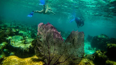 Trip Image