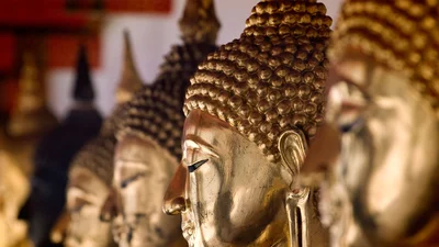 Trip Image