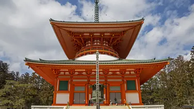 Trip Image