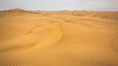 Trip Image
