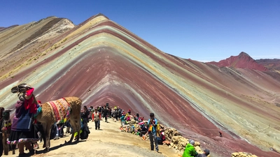 Trip Image