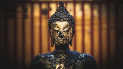 Trip Image