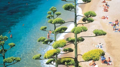 Trip Image